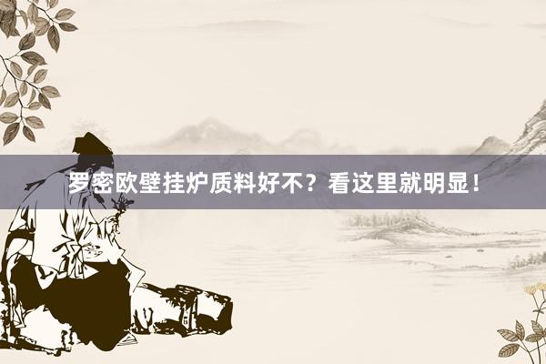 罗密欧壁挂炉质料好不？看这里就明显！