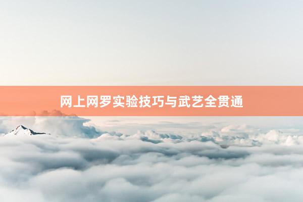 网上网罗实验技巧与武艺全贯通