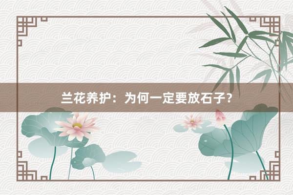 兰花养护：为何一定要放石子？